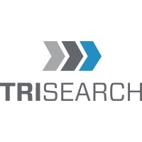 Vice President, Client Success | Financial Services Practice Lead