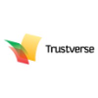 Senior Software Developer