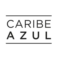Responsable de desarrollo web