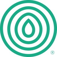 Lead Consultant