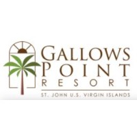 Executive Assistant