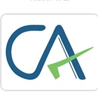 Senior Audit Executive