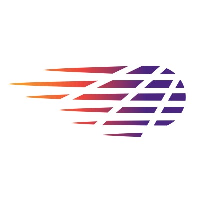 Information Technology Program Manager