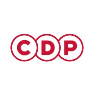 Director of Strategic Alliances (EMEA)