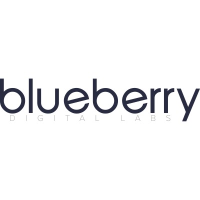 Search Engine Optimization Analyst