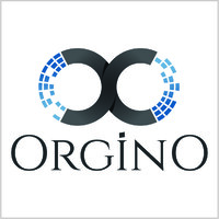 Software Developer