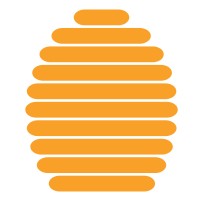 Activity Director