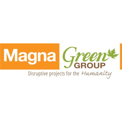 Business Intelligence Developer