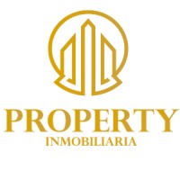 Director de finanzas