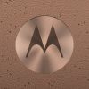Global Director of Social Media