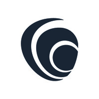 Auditor and Financial Advisory Manager