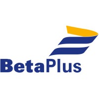 Team Lead Technology/E Business