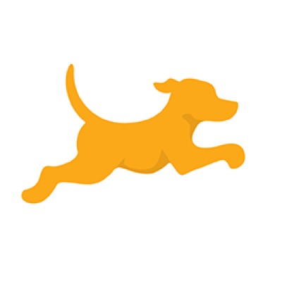 Senior Accountant