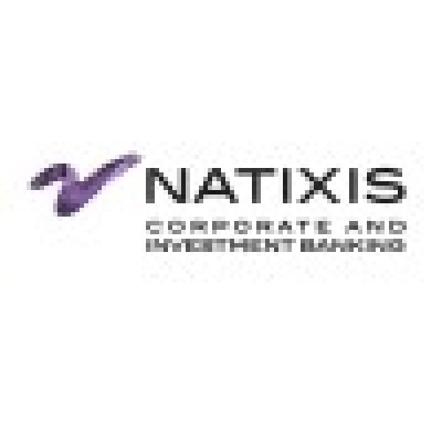 Business Analyst Risk et Ratio prudentiels