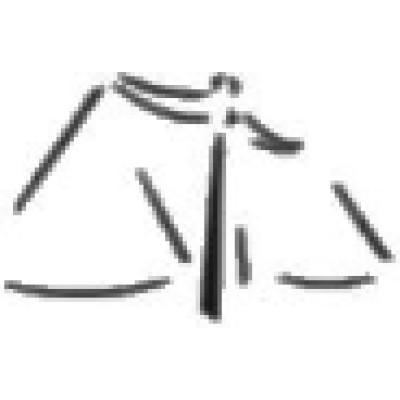 Lawyer