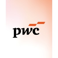 Audit Associate