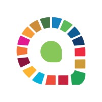Senior Carbon Expert