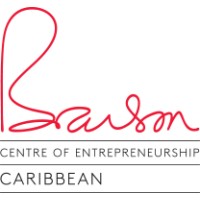 Entrepreneurship Programme Director