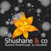 CEO (Freelance)