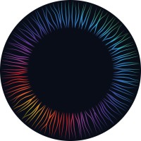 Webflow Developer
