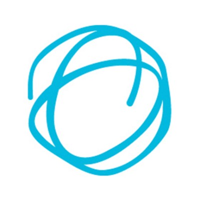 Delivery Director