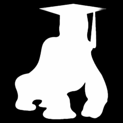 Digital Marketing Team Lead