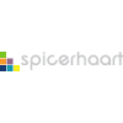 Software Developer