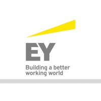 Accounting and Finance Analyst