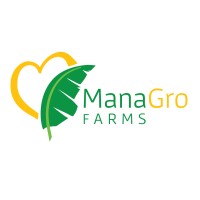 Managing Director