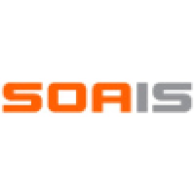 Support (Project) Manager