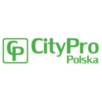 Partner, CEO