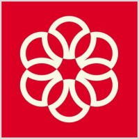 Senior Agile Consultant