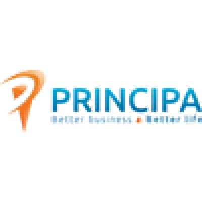 Vice President Strategy & Operations