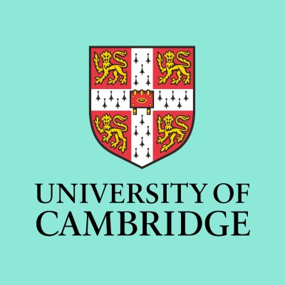 Supervisor (IP Law)