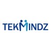 Software Engineer