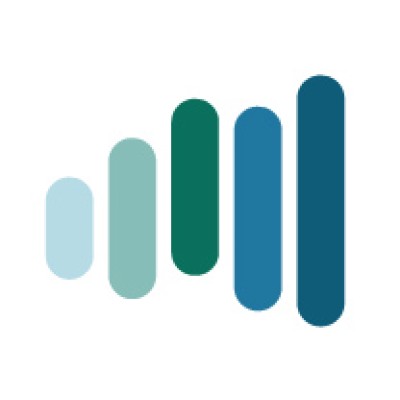 Revenue Growth Consultant
