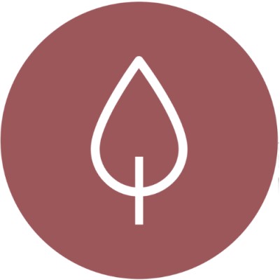 Board Member