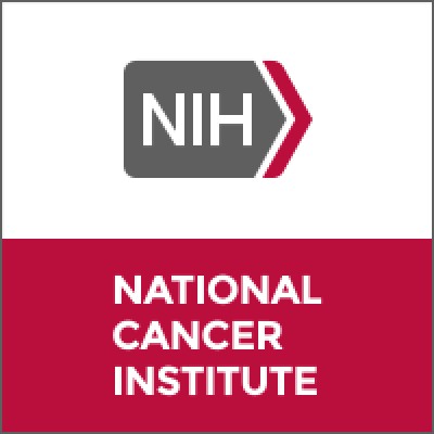 Post-doctoral Fellow