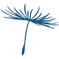 Clinical Director