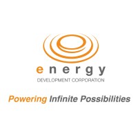 Senior Performance Analyst