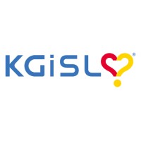 Director of Software Solutions