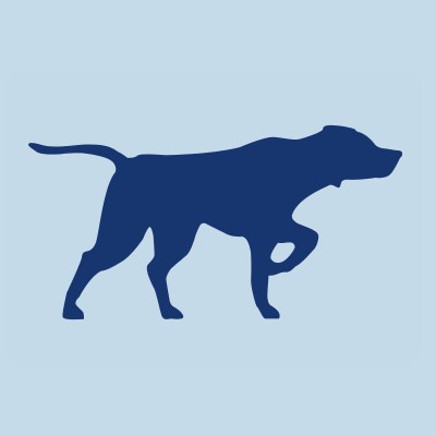 Senior Analyst