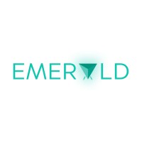 Tech Manager / Consultant
