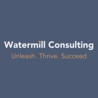 Senior Analyst