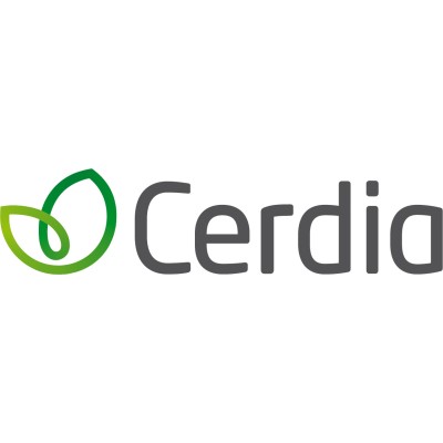 Head of HR, Brazil