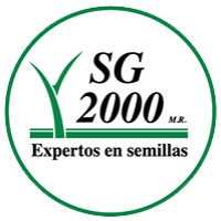 Gerente General