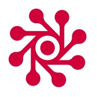 Data Analyst & Interim Team Lead