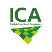 Database Administrator