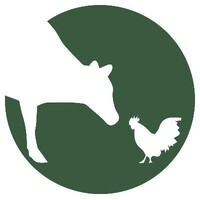 Planning Director - National Events