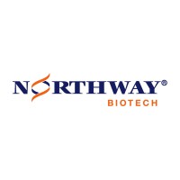 Head Of Quality Assurance